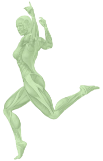 Myoreflextherapie mit Petra Eger